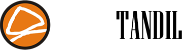 Logo Cyber Tandil